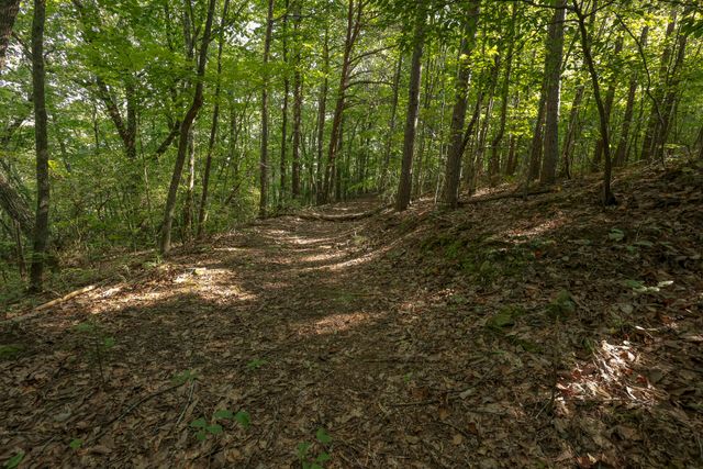 12315 Endless View, Soddy Daisy, TN 37379