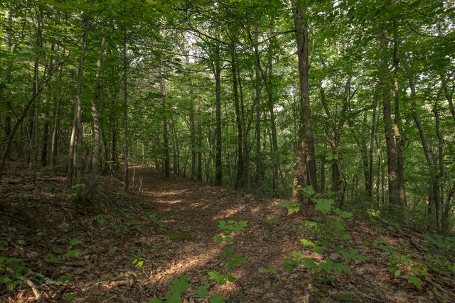 12315 Endless View, Soddy Daisy, TN 37379