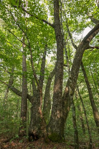 12315 Endless View, Soddy Daisy, TN 37379