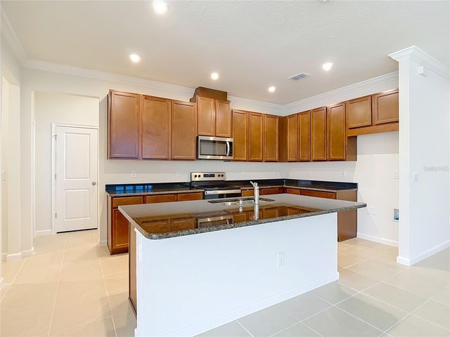 2477 WATER WILLOW DRIVE, Lutz, FL 33558