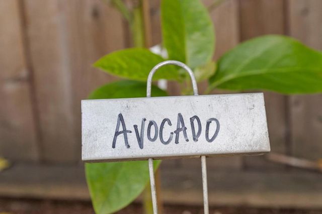 612 Hudson Street, Redwood City, CA 94061