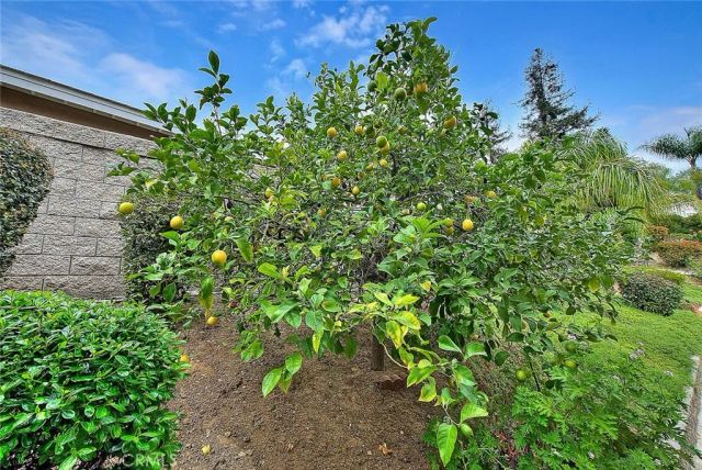 14637 Chisholm Trail, Chino Hills, CA 91709