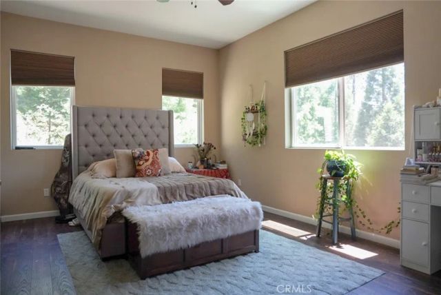 5865 Mountain Home Creek Road, Angelus Oaks, CA 92305