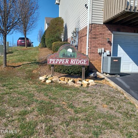 23 Pepper Ridge Court 23, Johnson City, TN 37615