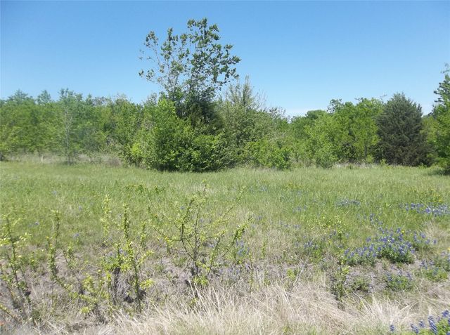 40 Acres NE County Road 2160 0, Kerens, TX 75144