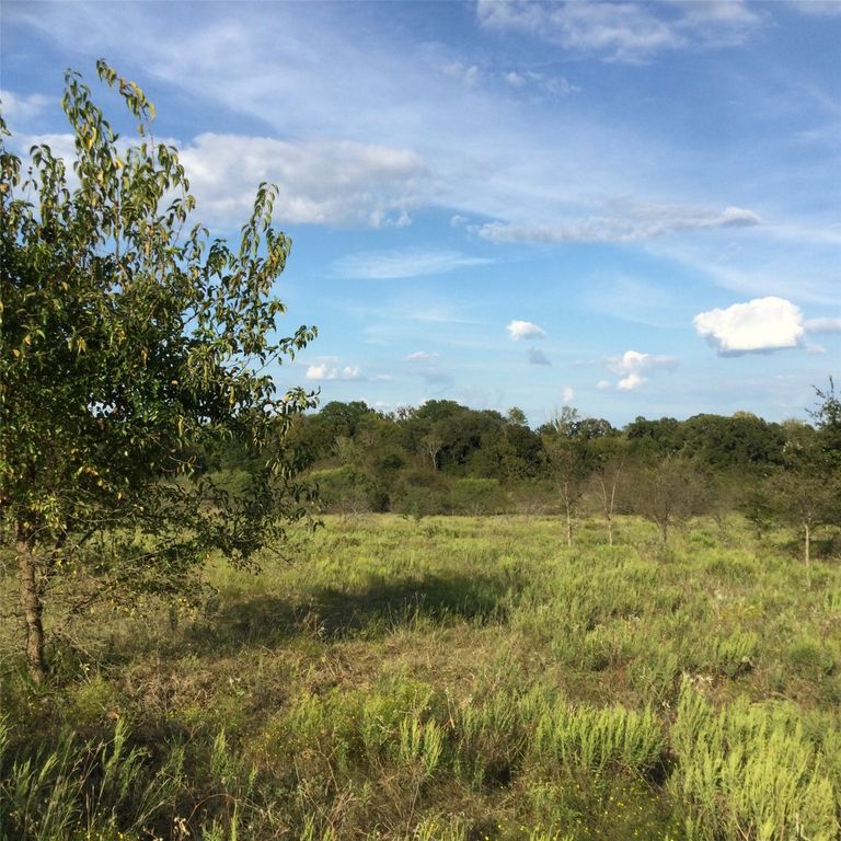 40 Acres NE County Road 2160 0, Kerens, TX 75144