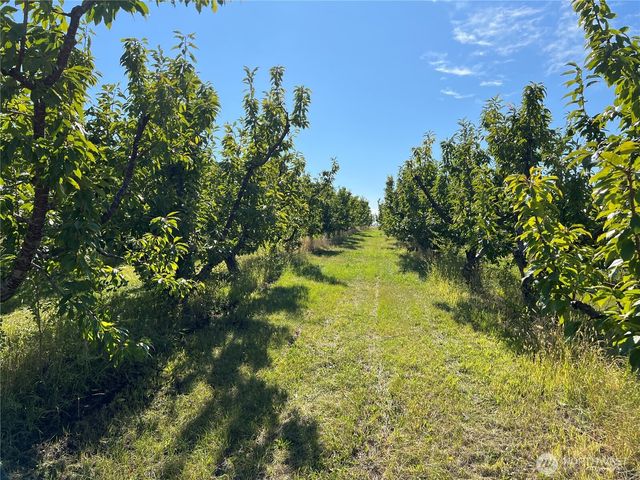 4477 NW Cascade Avenue, East Wenatchee, WA 98802