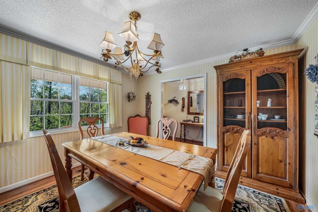 3449 Clemons Road, Scottsboro, AL 35769