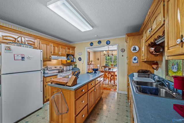 3449 Clemons Road, Scottsboro, AL 35769