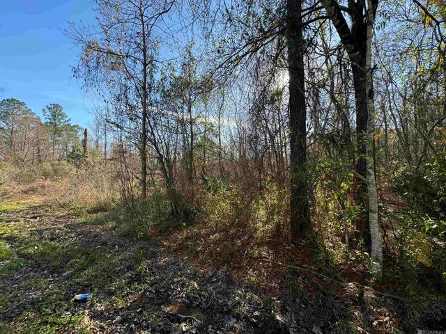 Lot 5-A Joe Lee Rd, Walker, LA 70785