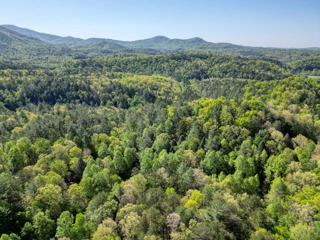 618 S Satsuma Court, Ellijay, GA 30540