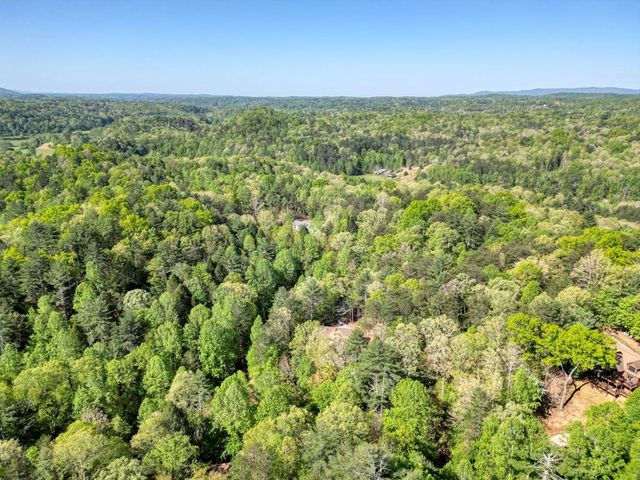 618 S Satsuma Court, Ellijay, GA 30540