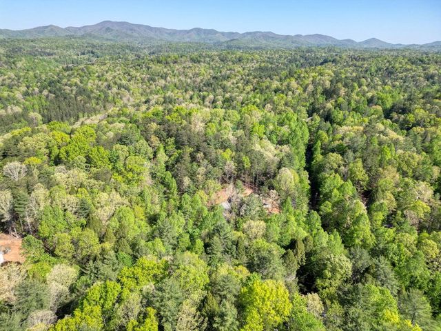 618 S Satsuma Court, Ellijay, GA 30540