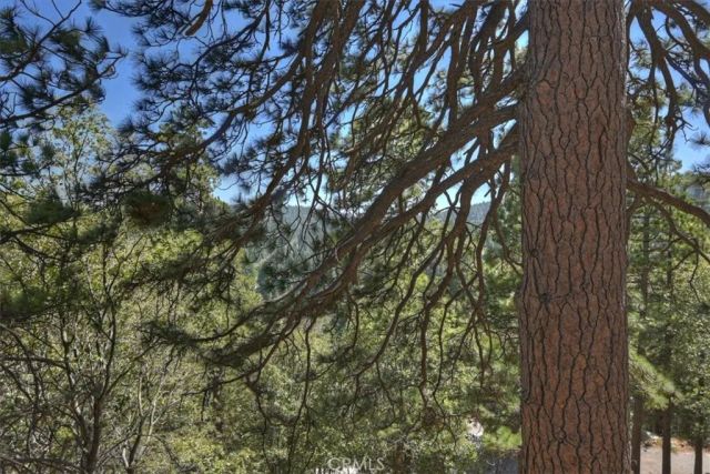 26525 Walnut Hills, Lake Arrowhead, CA 92352