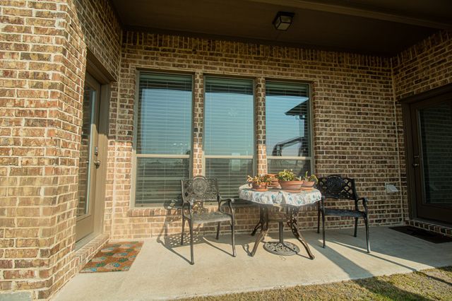 13176 Amber Meadow Drive, Talty, TX 75126