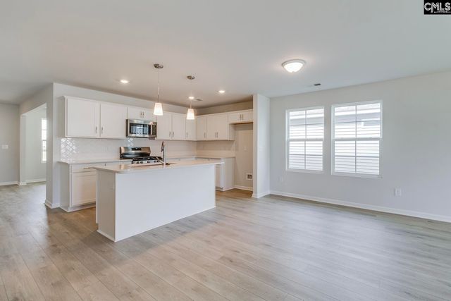 714 Clementine Run, Gilbert, SC 29054