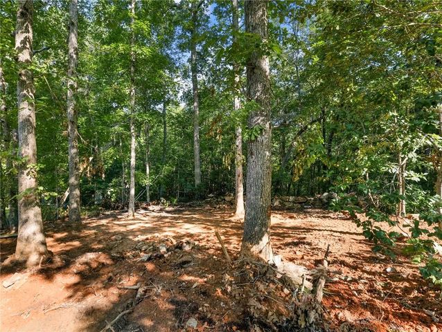 277 Eden Woods, Clarkesville, GA 30523