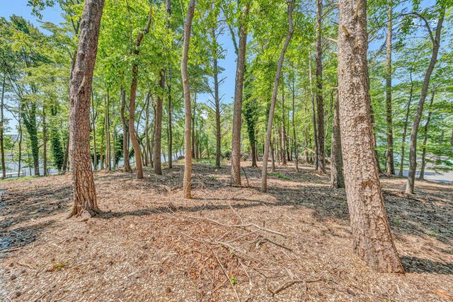 Lot 3 Sigh N Pine RD, Huddleston, VA 24104