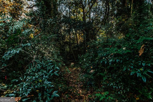 6368 Old Forsyth Road, Macon, GA 31210