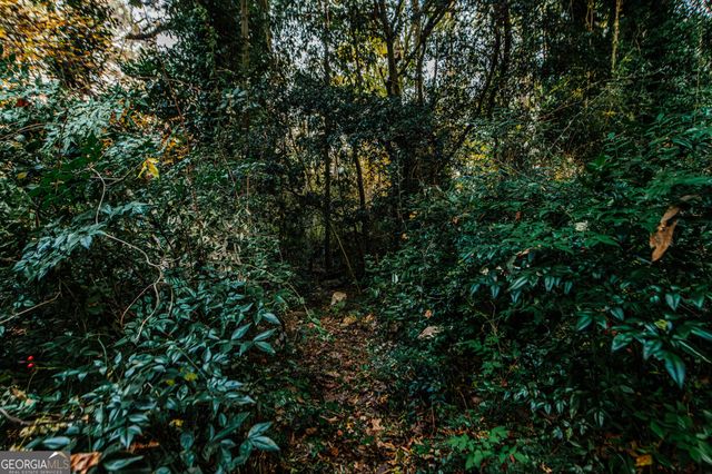 6368 Old Forsyth Road, Macon, GA 31210