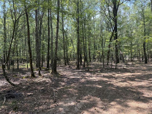 7354 Farm Road 412, Clarksville, TX 75426