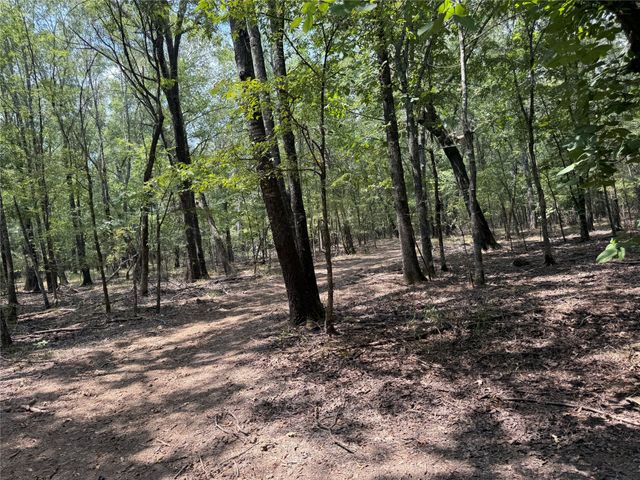 7354 Farm Road 412, Clarksville, TX 75426