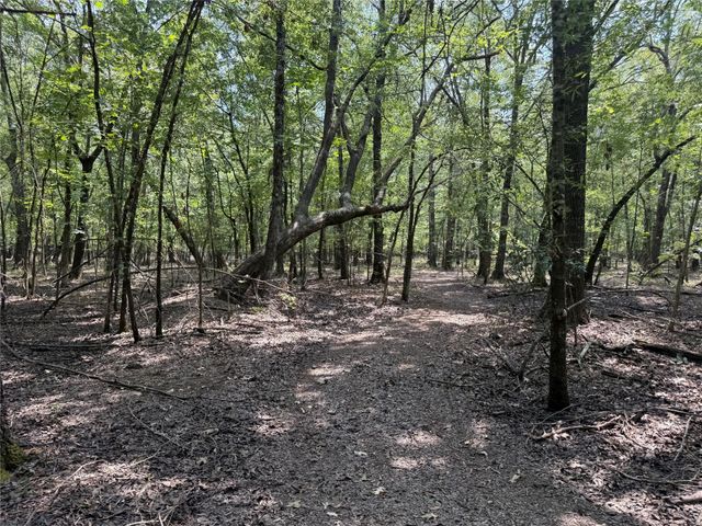 7354 Farm Road 412, Clarksville, TX 75426