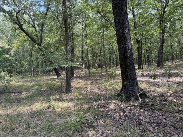 7354 Farm Road 412, Clarksville, TX 75426