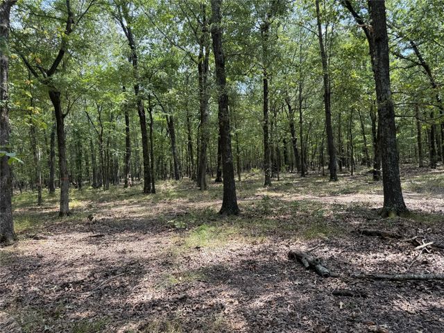 7354 Farm Road 412, Clarksville, TX 75426