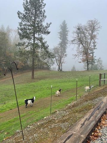 375 Jordan Creek Road, Riddle, OR 97469