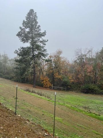 375 Jordan Creek Road, Riddle, OR 97469