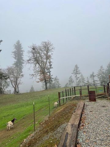 375 Jordan Creek Road, Riddle, OR 97469