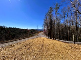 107 Chestnut Road, Reliance, TN 37369