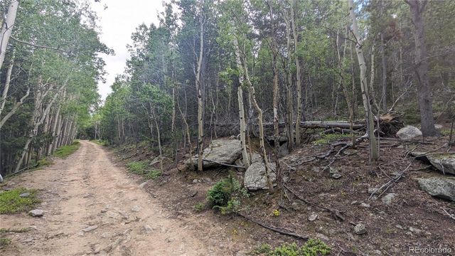 TBD Roy Smith Road, Central City, CO 80427