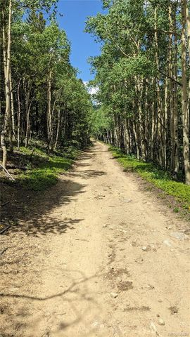 TBD Roy Smith Road, Central City, CO 80427