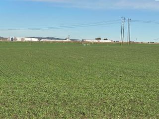 NKA Vineyard Drive (Parcel C), Pasco, WA 99301