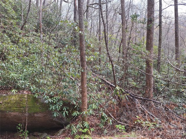 946 Lake Road, Old Fort, NC 28762