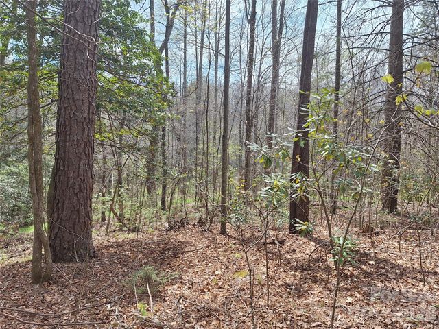 946 Lake Road, Old Fort, NC 28762
