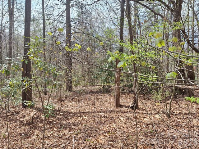 946 Lake Road, Old Fort, NC 28762