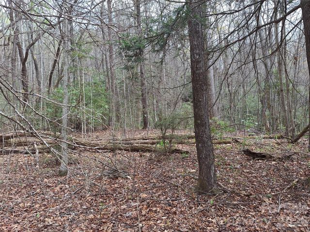 946 Lake Road, Old Fort, NC 28762