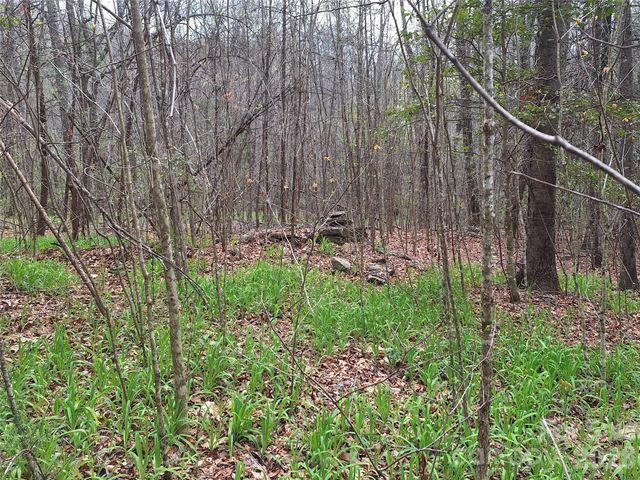 946 Lake Road, Old Fort, NC 28762