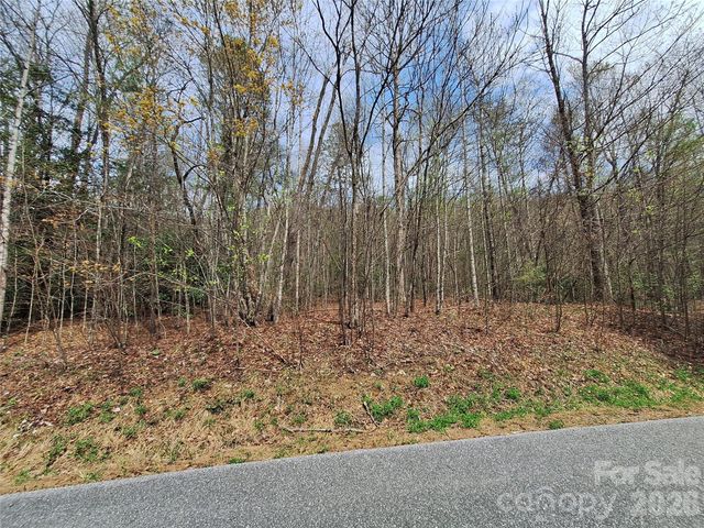 946 Lake Road, Old Fort, NC 28762