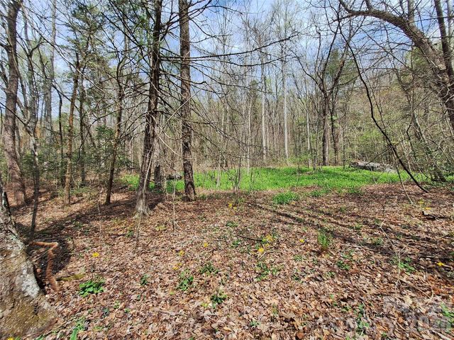 946 Lake Road, Old Fort, NC 28762
