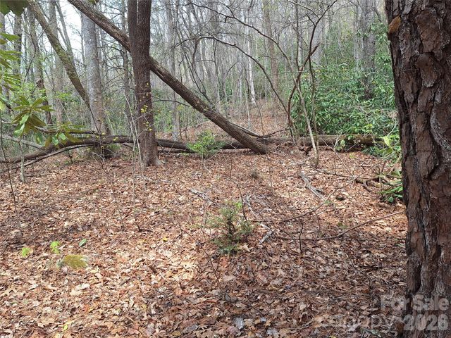 946 Lake Road, Old Fort, NC 28762