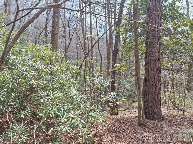 946 Lake Road, Old Fort, NC 28762