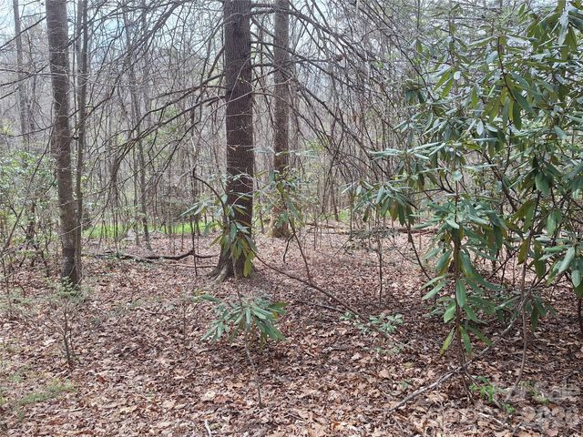 946 Lake Road, Old Fort, NC 28762