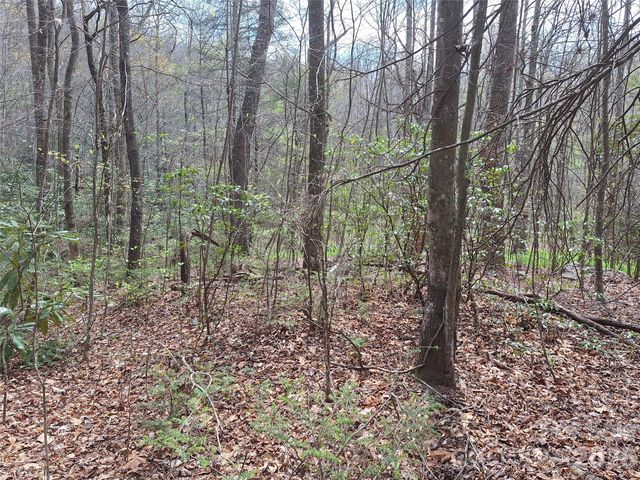 946 Lake Road, Old Fort, NC 28762