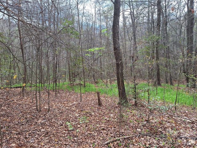 946 Lake Road, Old Fort, NC 28762