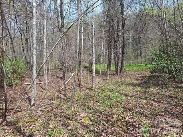 946 Lake Road, Old Fort, NC 28762