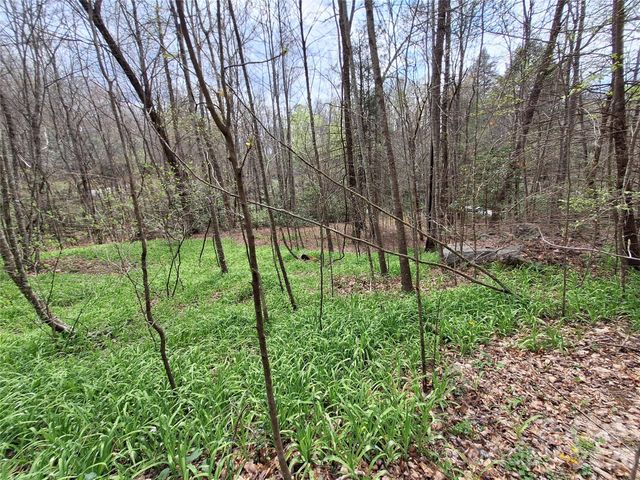 946 Lake Road, Old Fort, NC 28762
